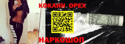 apvp Моздок