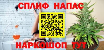 apvp Моздок