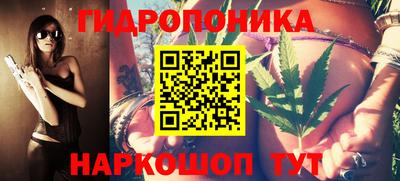шишки Можайск