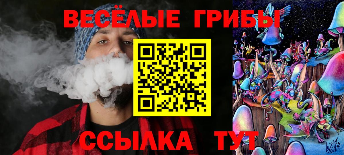 Галлюциногенные грибы Psilocybe  Вход с VPN  Галлюциногенные грибы мухоморы  Петропавловск-Камчатский 