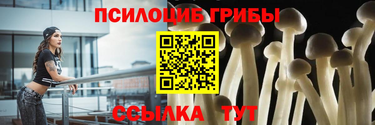 Галлюциногенные грибы Psilocybine cubensis Петропавловск-Камчатский
